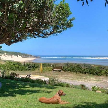 Milkwood Manor B & Bケントン・オン・シー エクステリア 写真