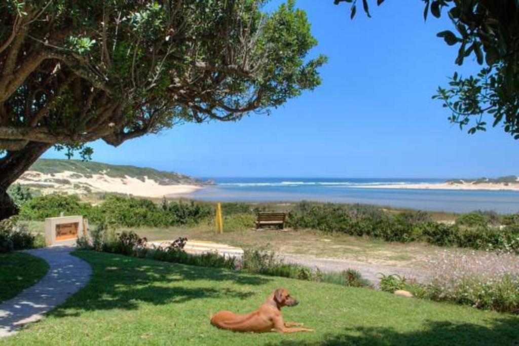 Milkwood Manor B & Bケントン・オン・シー エクステリア 写真